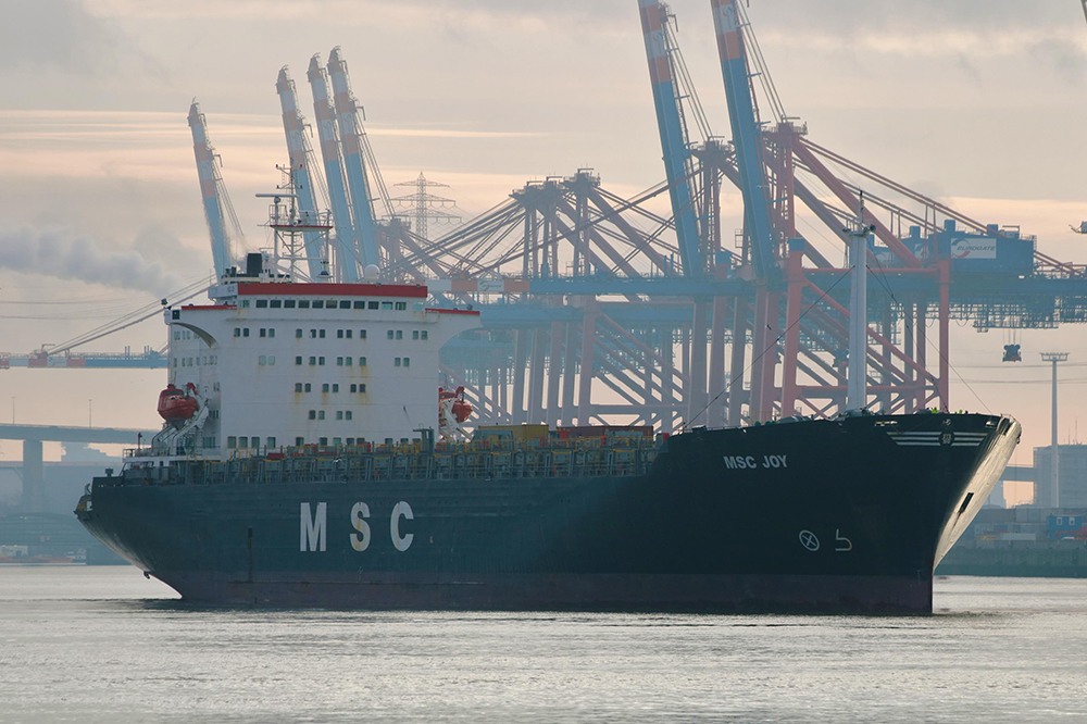 MSC-Joy-Hamburg-HHM-Hasenpusch