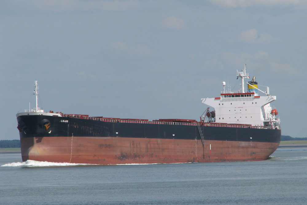 DryShips, Panamax, Bulker, Bulk, Coal, Dry Bulk/ China