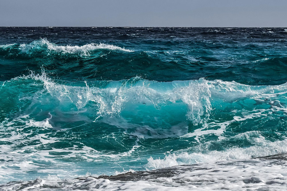 OECD / Ocean