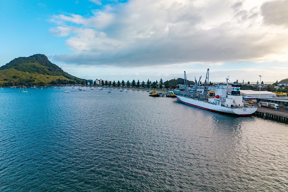 Record demand for special reefer ships 1 "Whero" in the port of Tauranga, New Zealand (© Vinnie Maniot, Liquid Pictures), reefer, refrigerated ship