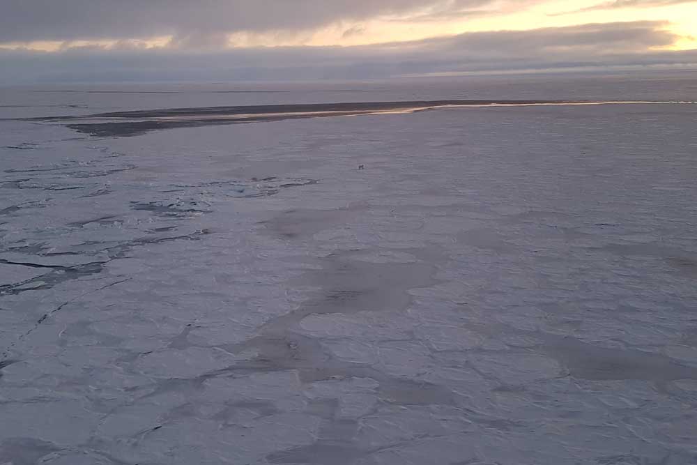 The Northeast Passage: a view of the Arctic ice sheet
