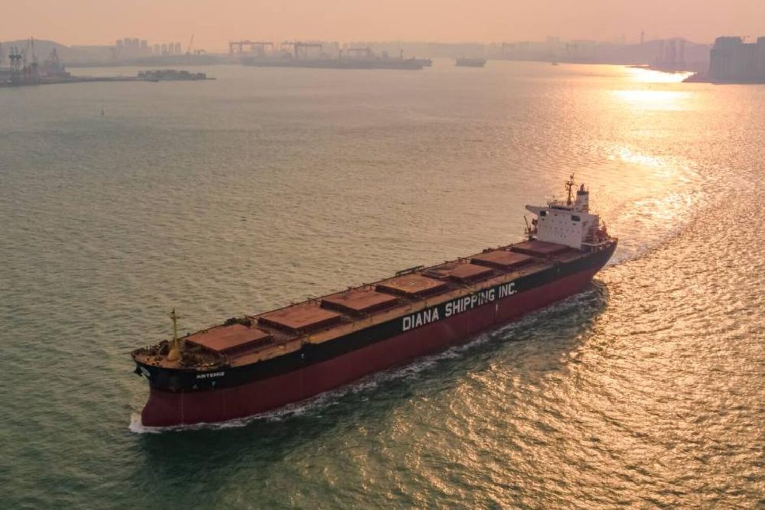 Bulk carrier from Diana Shipping