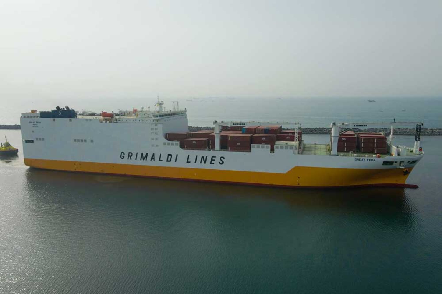 Grimaldi, Great Tema, UNICEF