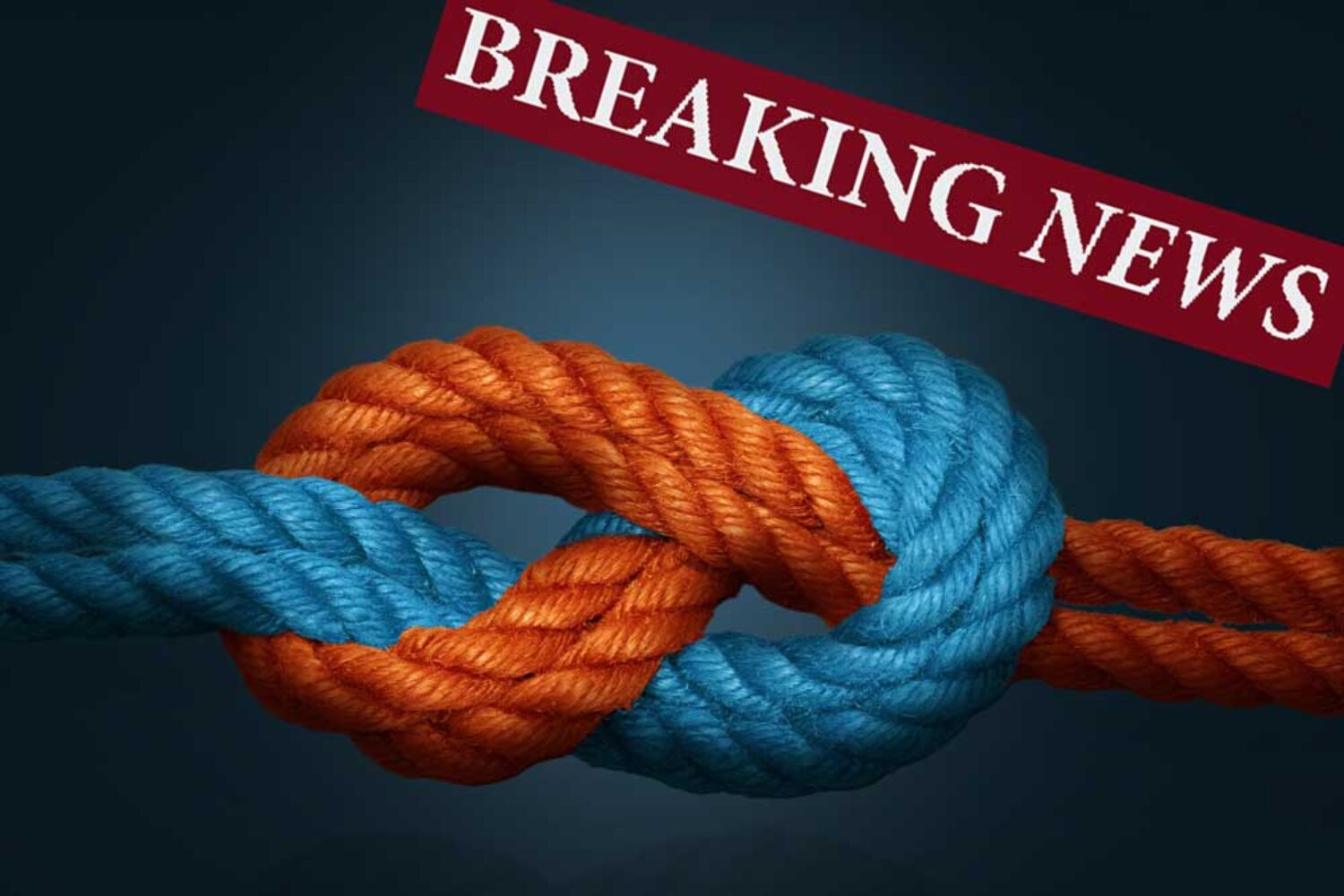 Hapag, Maersk, Gemini