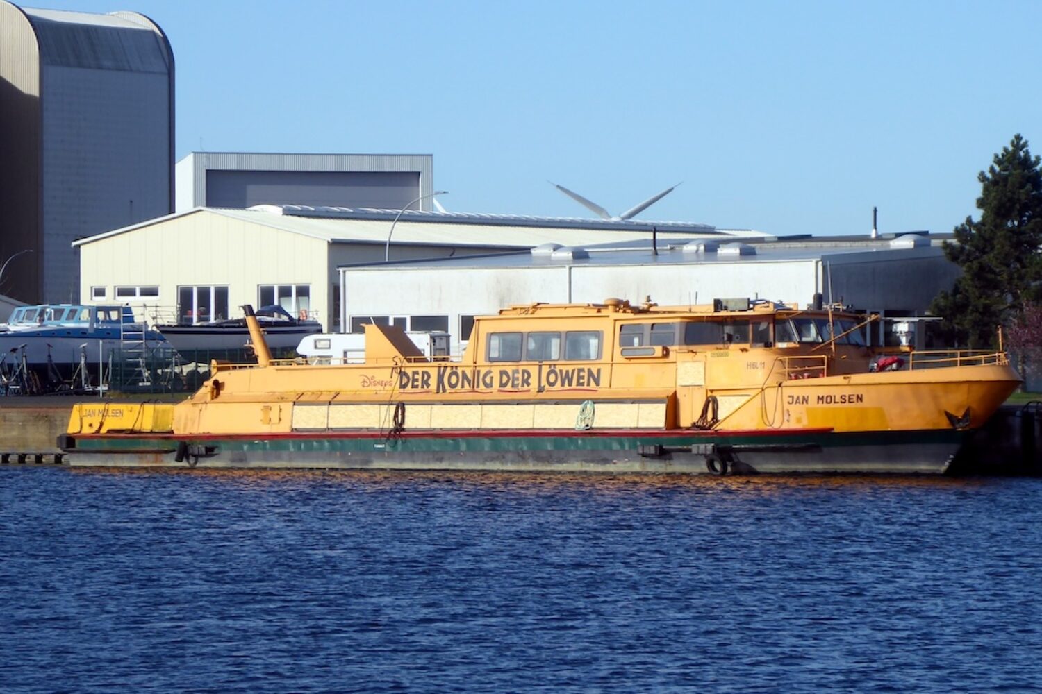 Jan Molsen, Hadag, The Lion King