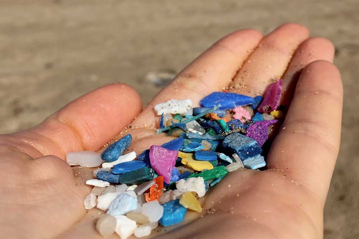 Bacteria are not able to decompose plastic waste. This has now been researched by two microbiologists