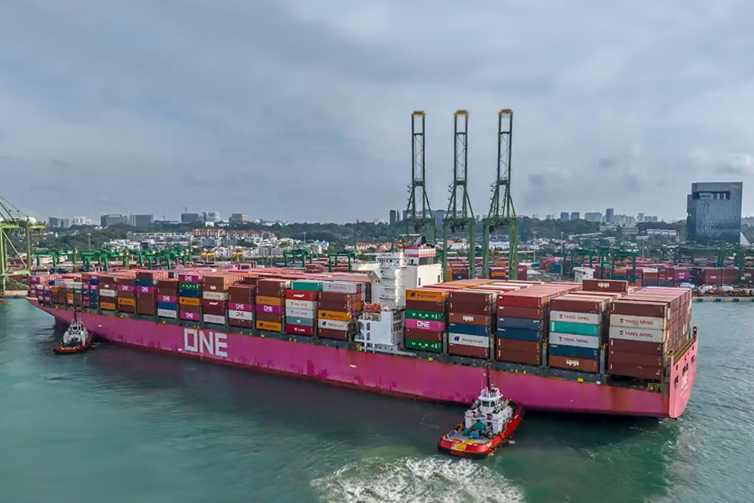 ONE Olympus in Singapore MPA, THE Alliance, MSC, Premier Alliance, Bremerhaven