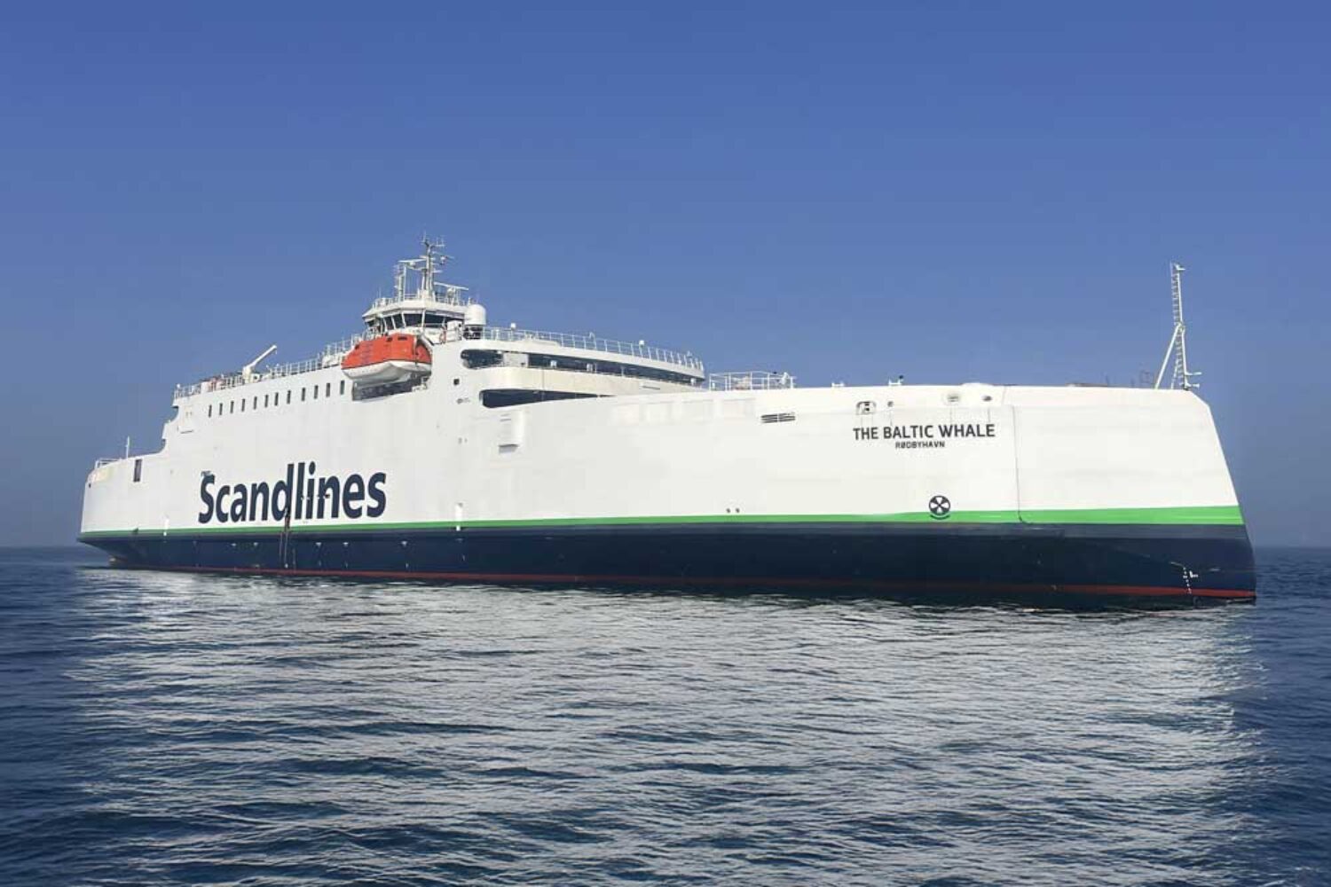 Scandlines ferry "The Baltic Whale"