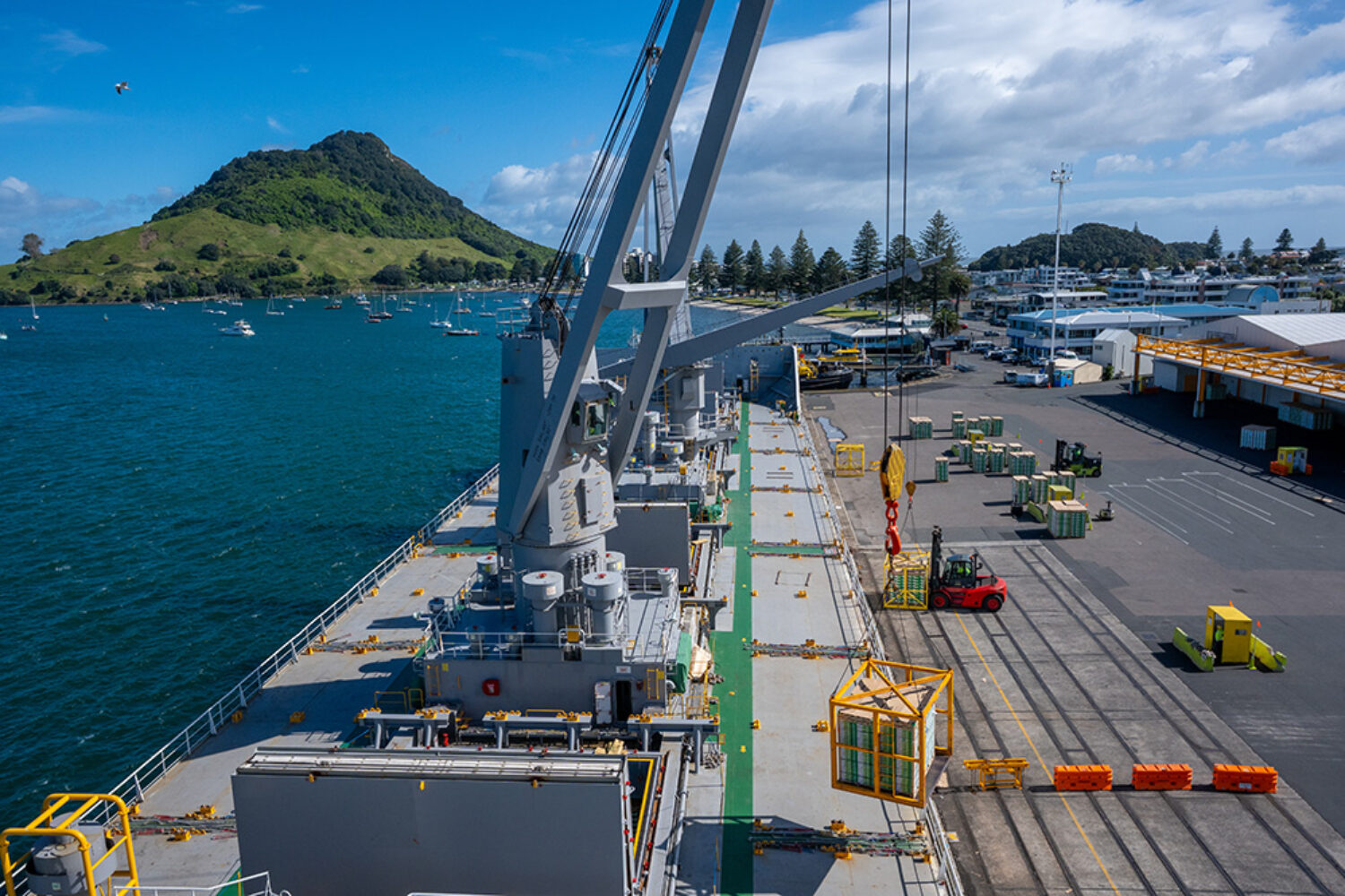 Reefer, reefer ship, "Whero" in Tauranga harbor, New Zealand (Author: Vinnie Maniot, Liquid Pictures)