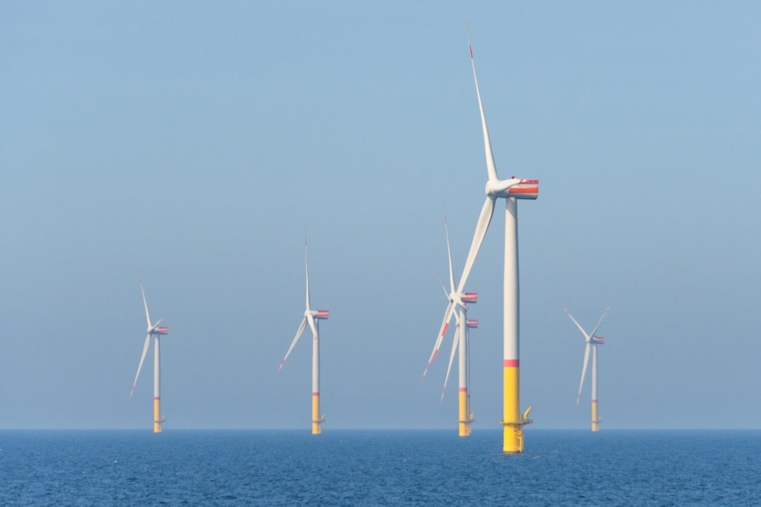 An offshore wind farm in the North Sea